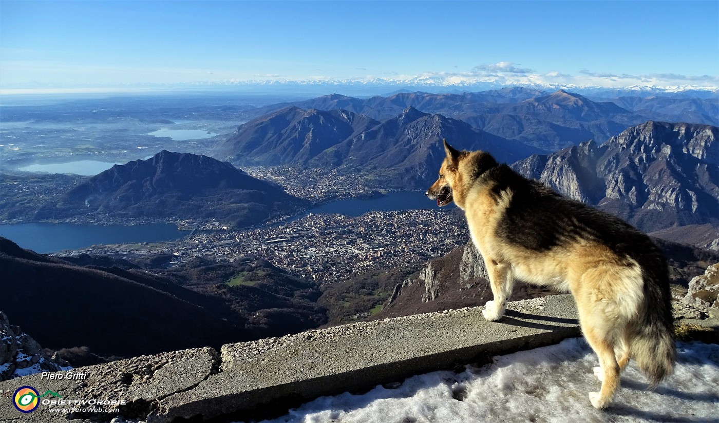 63 Dal Resegone vista spettacolare su Lecco, i suoi laghi , i suoi monti.JPG -                                